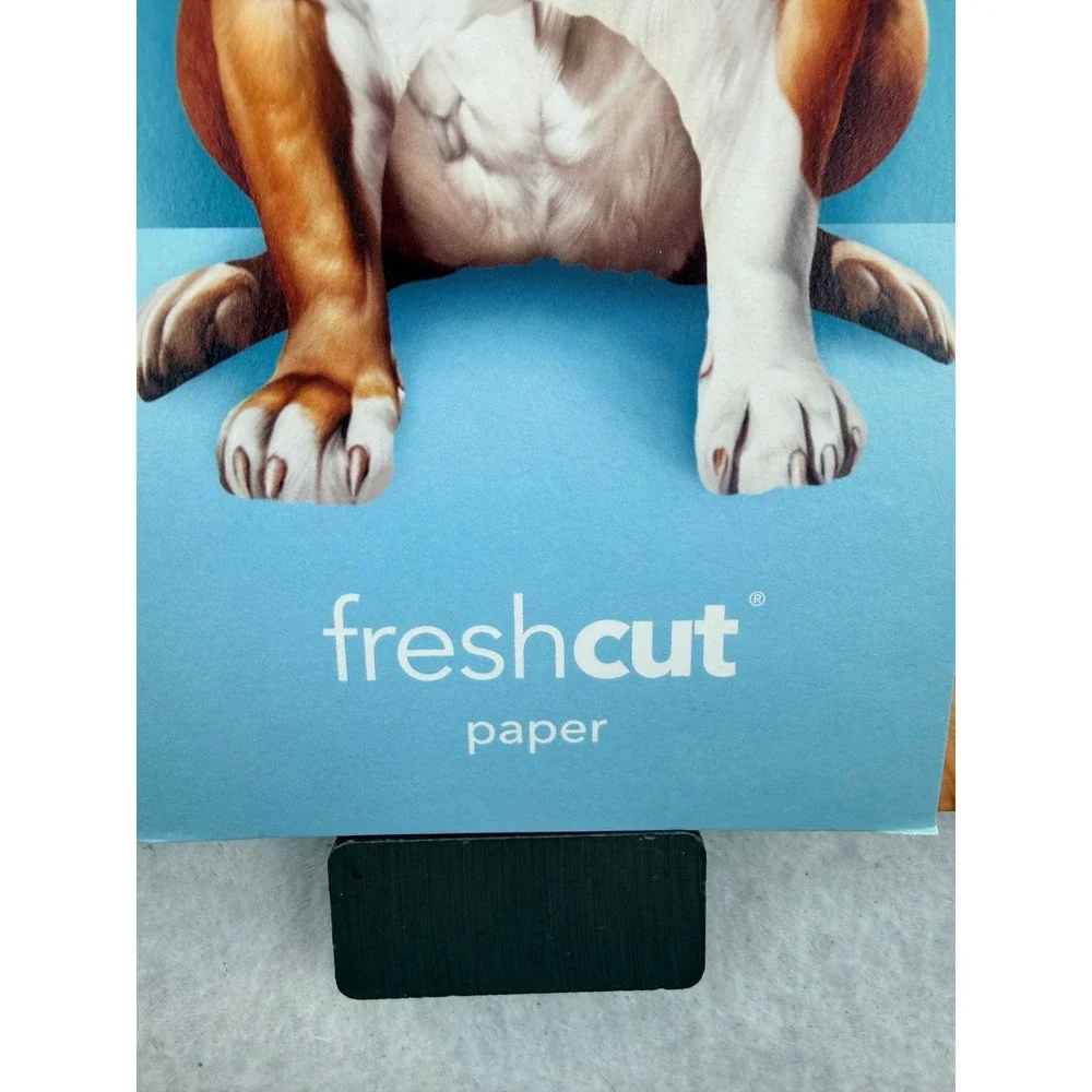 New Freshcut Paper English Bulldog Pop-Up Pup 3D Greeting Card with Accessories